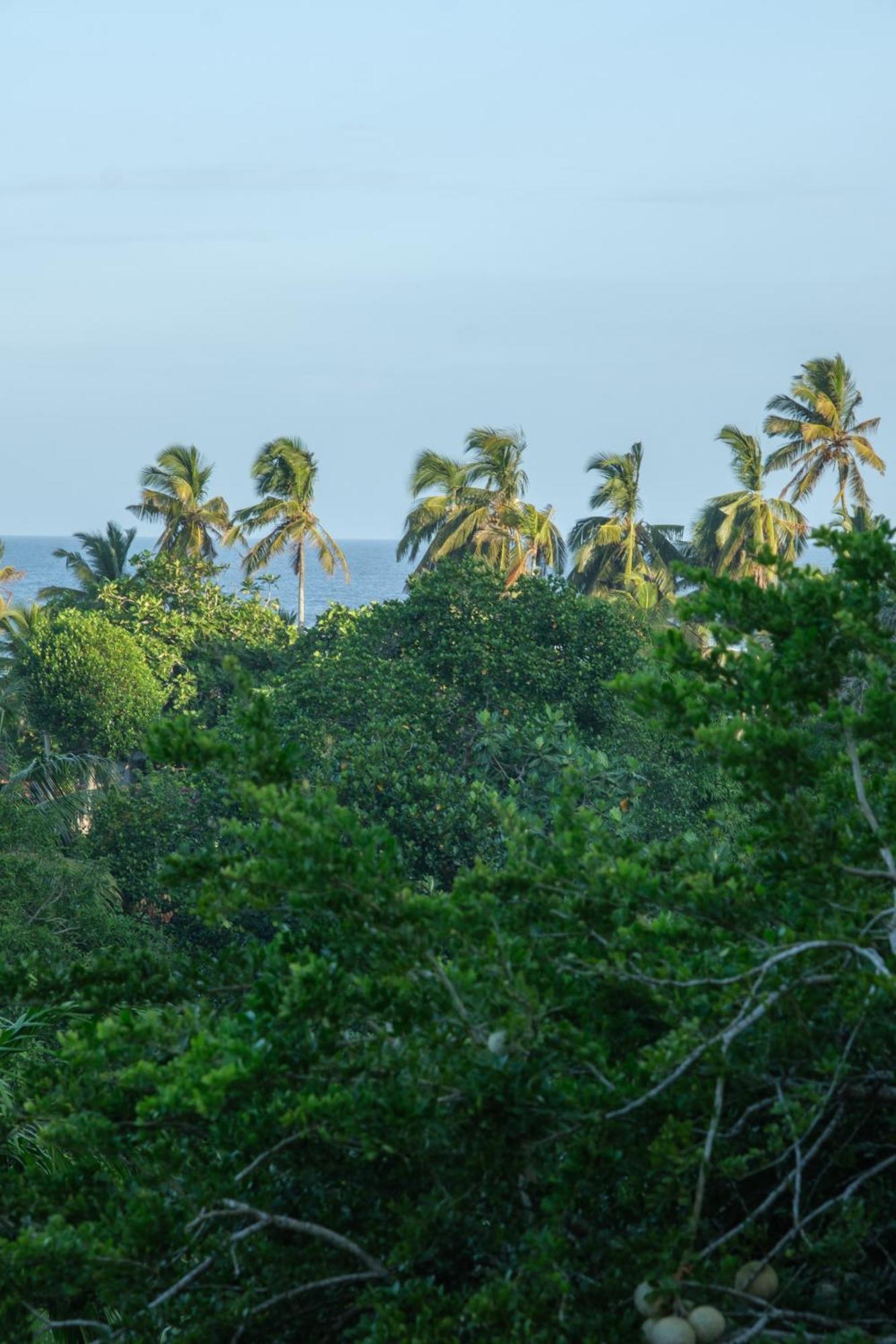 The Jungle View Hotel Mirissa Kültér fotó